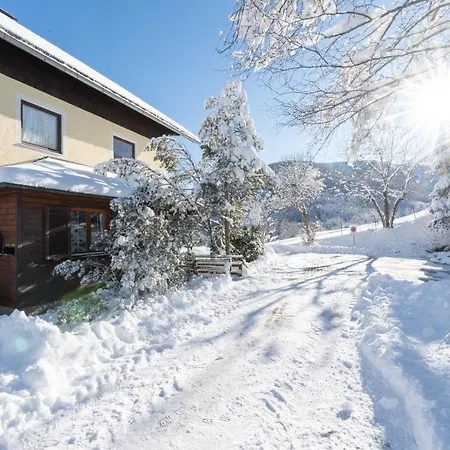 Appartementhaus Schmalzermoos 公寓 *