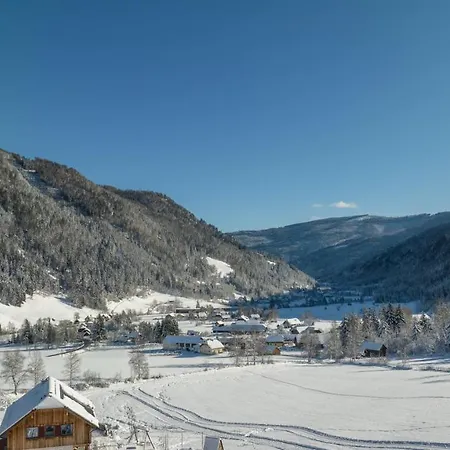 Appartementhaus Schmalzermoos Lägenhet *