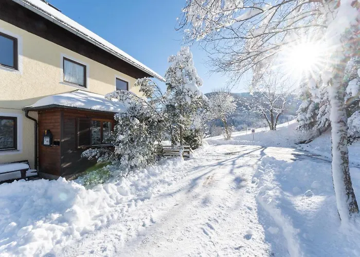 Appartementhaus Schmalzermoos 公寓 *